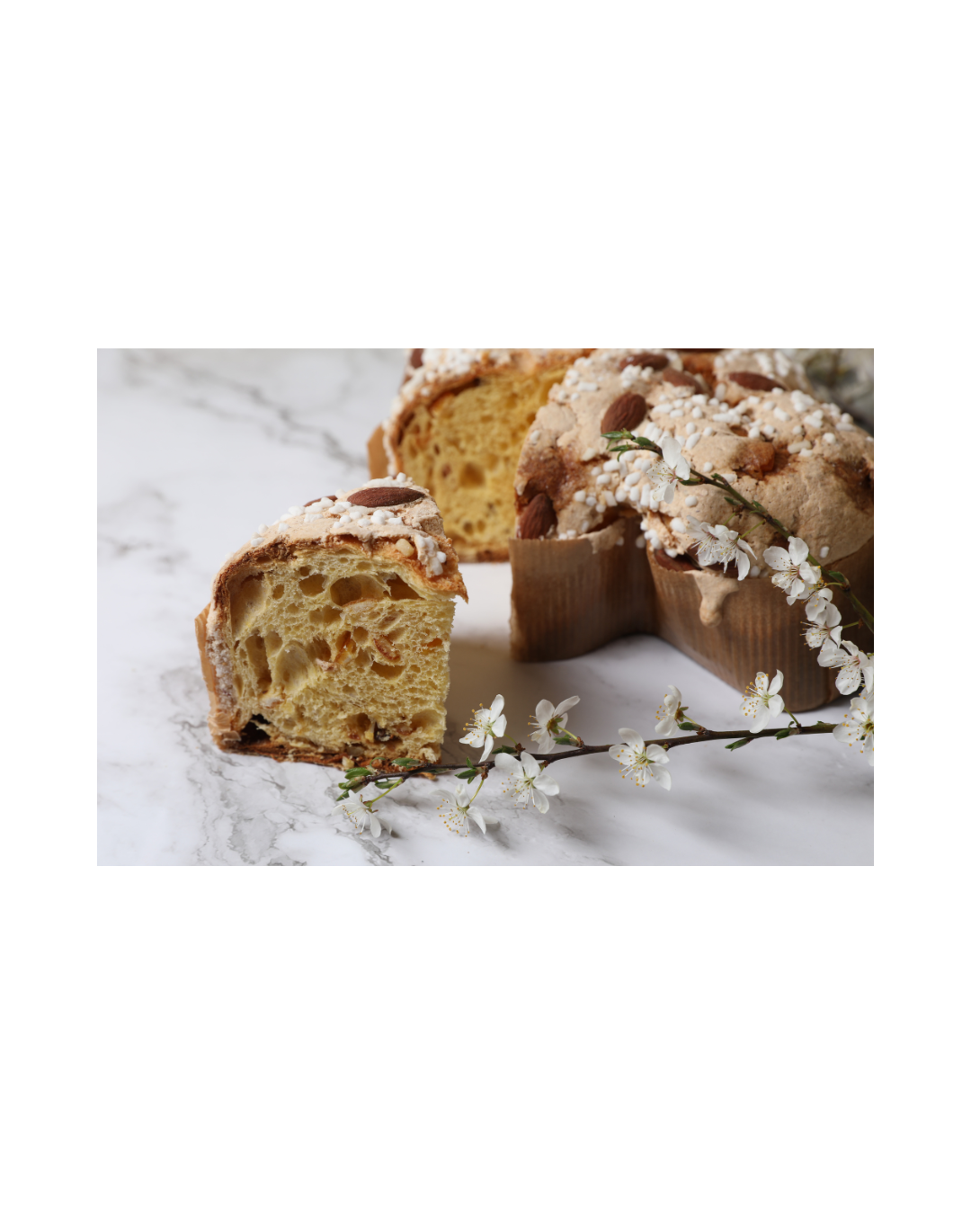 Moule C3 Colomba di Pasqua