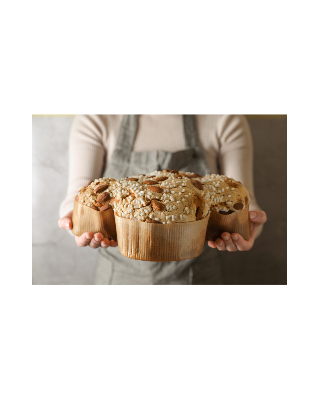 Moule C3 Colomba di Pasqua